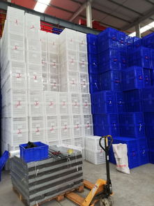 【潼南加工周轉籮筐/塑料蔬菜-水果周轉運輸籮筐廠】- 