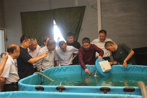 智能化養(yǎng)殖裝備與智慧管理平臺開發(fā)成果通過驗收，助推海水養(yǎng)殖技術(shù)研發(fā)升級