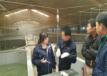 我國海水養(yǎng)殖技術(shù)新突破 告別'嗑藥'魚，首個海水魚活疫苗投產(chǎn)應(yīng)用