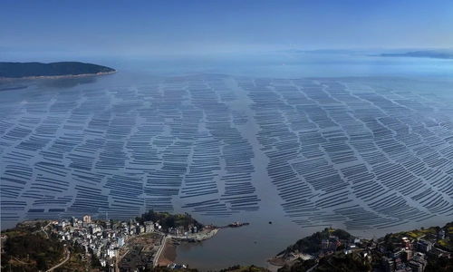 洞頭區(qū) 以科技創(chuàng)新澎湃海洋經(jīng)濟高質(zhì)量發(fā)展新動能，海水養(yǎng)殖技術(shù)研發(fā)走在前列