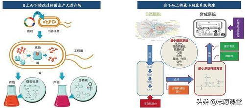 生物坑？轉行跳槽別慌 這3高薪藍海深度技術，國家隊在投入巨資（有案例拆解+真實薪酬分化落差心得故事拆解即未來職業發展變現模型…